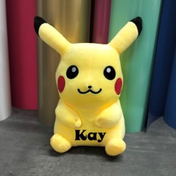 839-Pokemon knuffel met naam