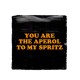 940- You are the aperol to my spritz tegeltje 940- You are the aperol to my spritz tegeltje