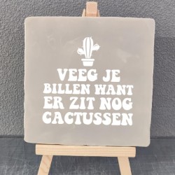 904-  Cactussen