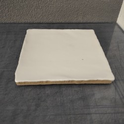 904- Cactussen 904- Cactussen