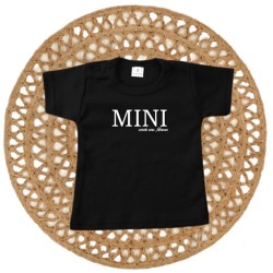 910- Mini versie 910- Mini versie