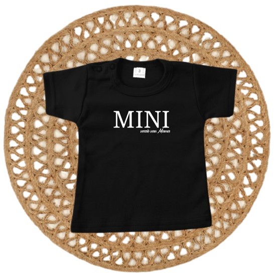 910- Mini versie 910- Mini versie