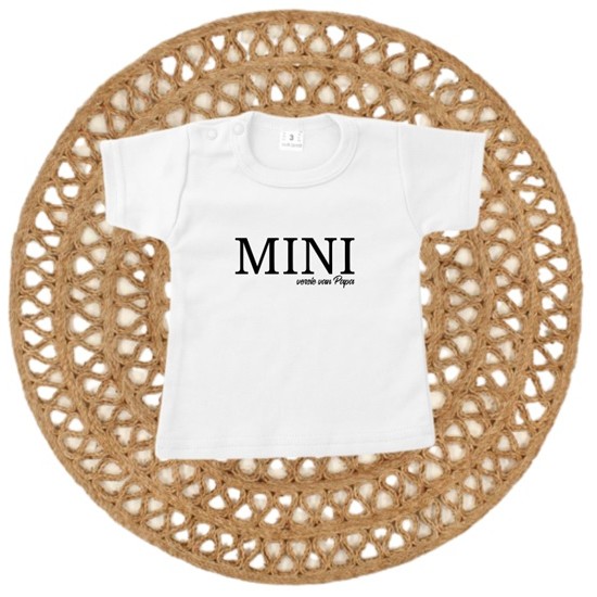910- Mini versie 910- Mini versie